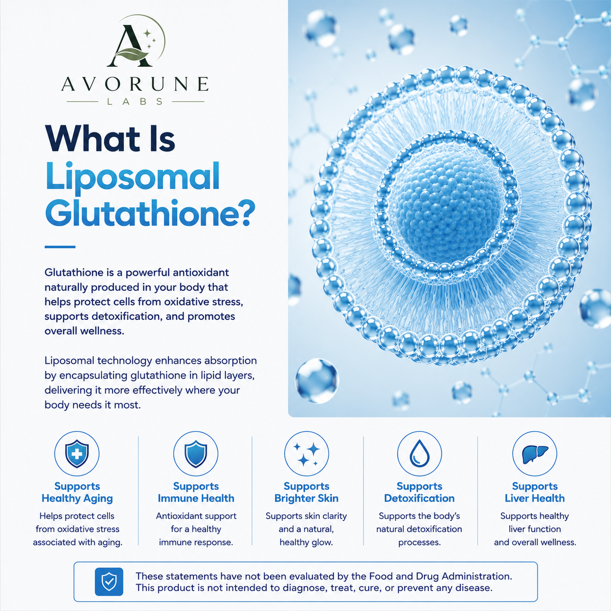 Liposomal Glutathione Softgels | Antioxidant Support | 60 Count